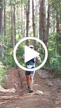 BIB:  <button type="button" onclick="openModal(26569786)" class="btn btn-primary btn-sm float-right" data-toggle="modal" data-target=".modal-high-quality">
                <i class="fa fa-download"></i> Download
                </button>